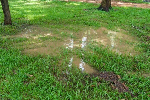 Storm Water Drainage Service in New Albany