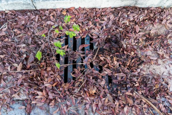 Yard Drain Unclogging in New Albany