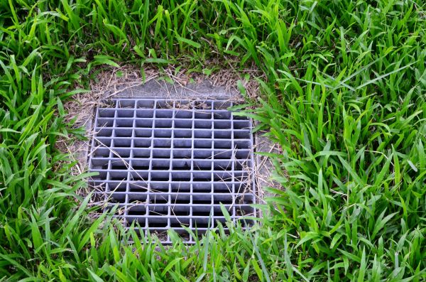 Yard Water Drainage in New Albany
