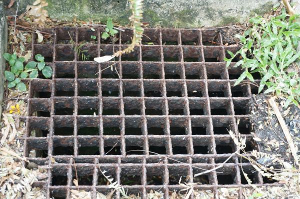 Yard Drain Cleaning in New Albany