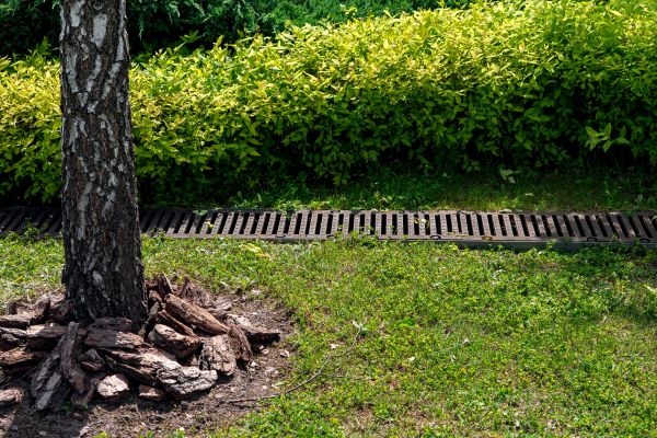 Wet Yard Drainage in New Albany