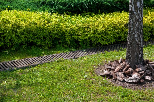 Residential Landscape Drainage in New Albany