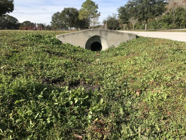 Swale Drainage Service in New Albany